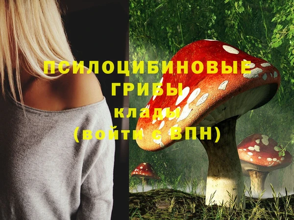 круглые Армянск